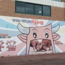 소싸움경기장 | 청도 소싸움 경기장 소싸움 미디어 체험관 후기 청도 가볼만한곳 추천♡