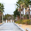 건강과성박물관 제주 이미지