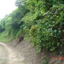 산골쉼터 이미지