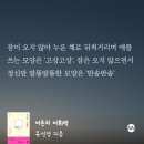 상록수식당 이미지