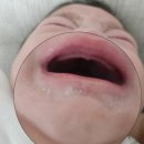 파파유통 | 아기 침독 건조 피부｜하우파파 고보습 스틱밤 내돈내산 솔직 후기｜서이추 환영