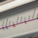 바달로나 이미지