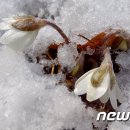 바람꽃공원 이미지