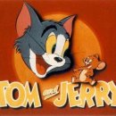 서진통상 이미지