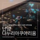 단양 다누리아쿠아리움 후기 (feat. 여름 실내 데이트/가족여행 코스/아이랑 함께)