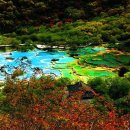 황룡택시 이미지