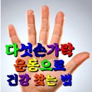 다섯손가락 이미지