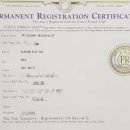 콜드베이켄넬 이미지