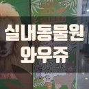 와우쥬 양산점 이미지