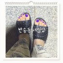 네일메타 | 반송동네일 네일담아 발젤 후기