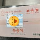 태경 | 농라 카페 내돈내산 복케팅 대극천 솔직 후기 태경 농장 복숭아