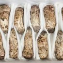 한국의 산삼과 상황버섯 이미지