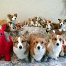 멍멍이가족 이미지