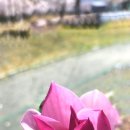 우시장축산도축직판장