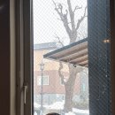 여우꼬리 노래연습장 | 삿포로에 눈이 올까요?❄❄