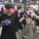 비트로남구