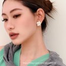 까멜리아 플라워 이미지