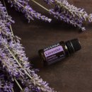 대지오일 이미지