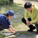 2024년 중부지방산림청 “찾아가는 산림치유 프로그램” 실시(7차)-한국숲인성교육개발원(2405117-한밭수목원)) 이미지