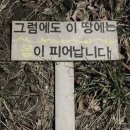 파란나라 이미지