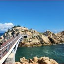 대왕암공원 이미지