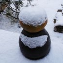 호박단지 이미지