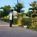 다올미르 이미지