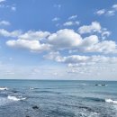 그릿비 일광점 이미지