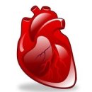 웰빙 쇼핑몰 이미지