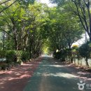 황명「분수·1」 이미지