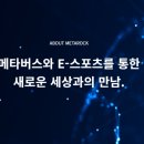 주식회사 메타록 이미지