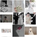 부산 W웨딩 본식스냅 업체 비교 및 변경 가격