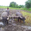 소로3-103 이미지