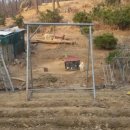 옥주농장 이미지