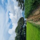 홍현-stay 이미지