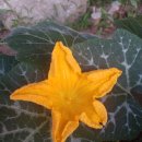 등대해수욕장 이미지