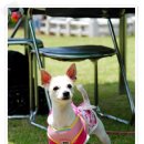 사온누리 이미지