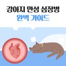 서교동물병원 이미지