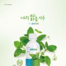 시너지 월드 와이드