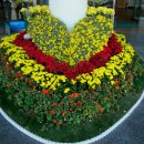 여수시민회관 이미지