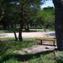 마리장풍숲 이미지