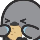 다인몰 네이버블로그
