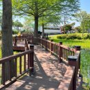 왕송호수공원 | 경기도 의왕 왕송호수 공원 레일바이크 할인 방문 후기