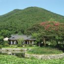 운림산방주차장 이미지