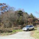 충청북도 보은군 보은읍 삼산로 4 이미지