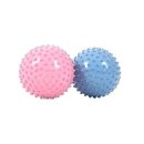 피트니스공 이미지