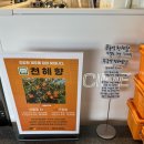 대정읍 산이수동 버스정류장 | 제주 서귀포 대정읍 감성카페 추천｜돌담 감성 가득한 이더리카페 후기
