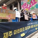 돌고래회관 이미지