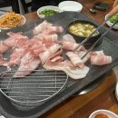 도토리짐(319) 이미지