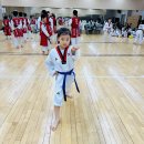 경희대 정 태권도 이미지